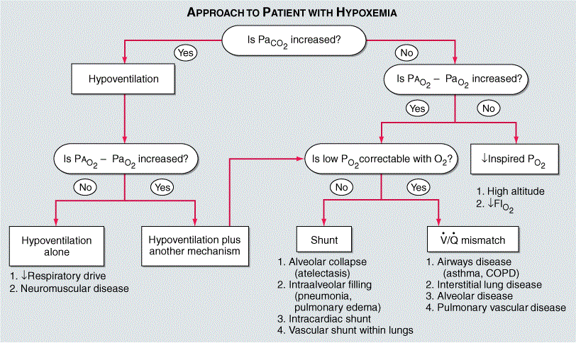 Flow Chart in Hypoxemia